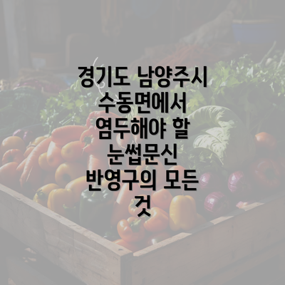 경기도 남양주시 수동면에서 염두해야 할 눈썹문신 반영구의 모든 것