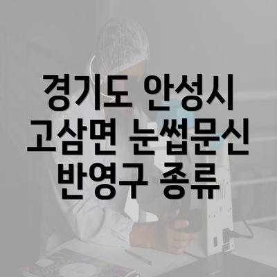 경기도 안성시 고삼면 눈썹문신 반영구 종류