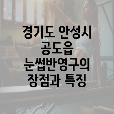 경기도 안성시 공도읍 눈썹반영구의 장점과 특징