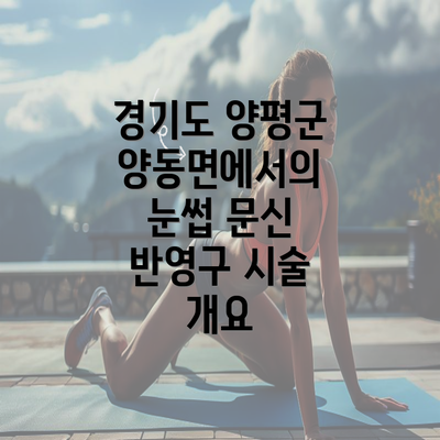 경기도 양평군 양동면에서의 눈썹 문신 반영구 시술 개요