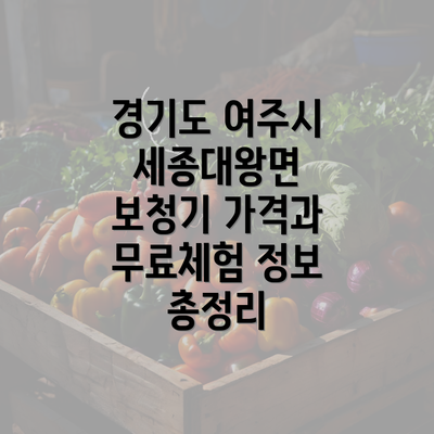 경기도 여주시 세종대왕면 보청기 가격과 무료체험 정보 총정리