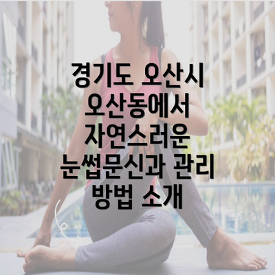 경기도 오산시 오산동에서 자연스러운 눈썹문신과 관리 방법 소개