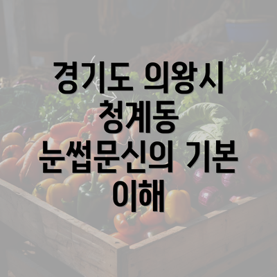 경기도 의왕시 청계동 눈썹문신의 기본 이해