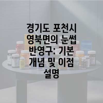 경기도 포천시 영북면의 눈썹 반영구: 기본 개념 및 이점 설명