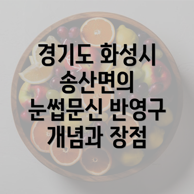 경기도 화성시 송산면의 눈썹문신 반영구 개념과 장점