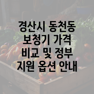 경산시 동천동 보청기 가격 비교 및 정부 지원 옵션 안내