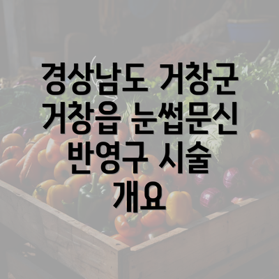 경상남도 거창군 거창읍 눈썹문신 반영구 시술 개요