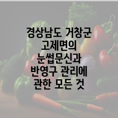 경상남도 거창군 고제면의 눈썹문신과 반영구 관리에 관한 모든 것