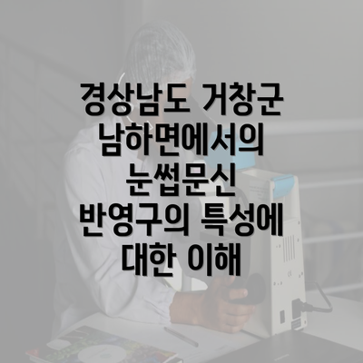 경상남도 거창군 남하면에서의 눈썹문신 반영구의 특성에 대한 이해