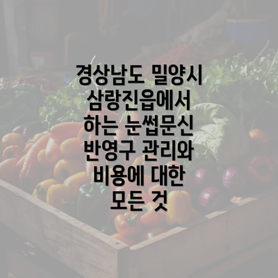 경상남도 밀양시 삼랑진읍에서 하는 눈썹문신 반영구 관리와 비용에 대한 모든 것