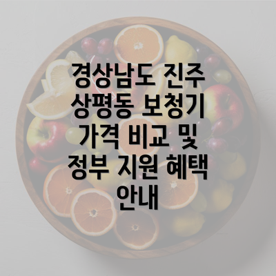 경상남도 진주 상평동 보청기 가격 비교 및 정부 지원 혜택 안내