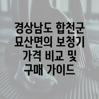 경상남도 합천군 묘산면의 보청기 가격 비교 및 구매 가이드