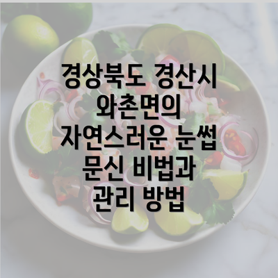 경상북도 경산시 와촌면의 자연스러운 눈썹 문신 비법과 관리 방법