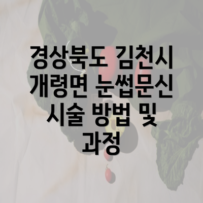 경상북도 김천시 개령면 눈썹문신의 가격과 비용