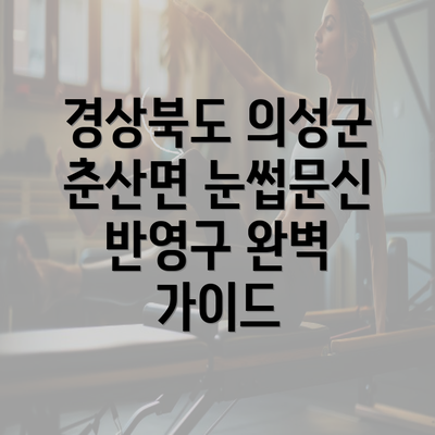 경상북도 의성군 춘산면 눈썹문신 반영구 완벽 가이드