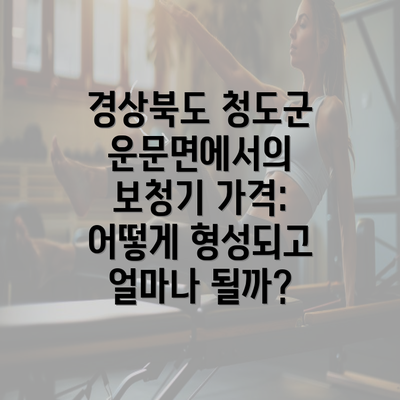 경상북도 청도군 운문면에서의 보청기 가격: 어떻게 형성되고 얼마나 될까?