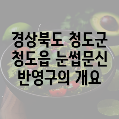 경상북도 청도군 청도읍 눈썹문신 반영구의 개요