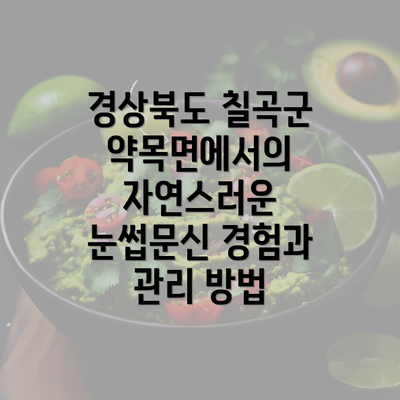 경상북도 칠곡군 약목면에서의 자연스러운 눈썹문신 경험과 관리 방법