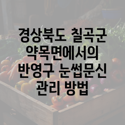 경상북도 칠곡군 약목면에서의 반영구 눈썹문신 관리 방법