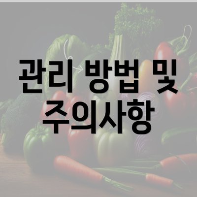 관리 방법 및 주의사항