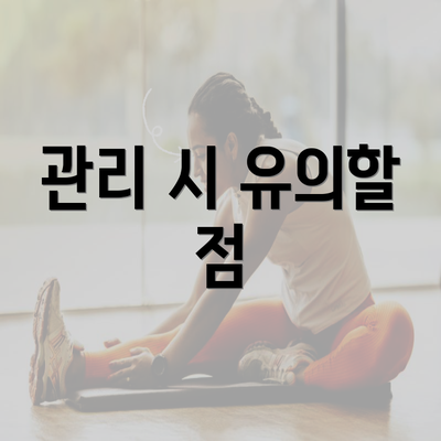 관리 시 유의할 점