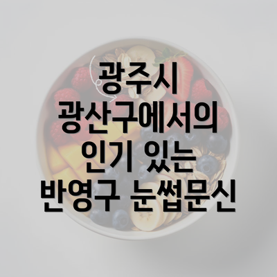 광주시 광산구에서의 인기 있는 반영구 눈썹문신