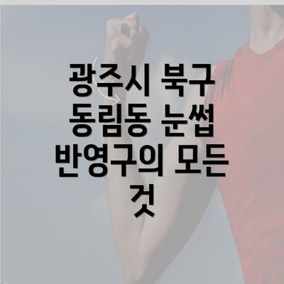 광주시 북구 동림동 눈썹 반영구의 모든 것