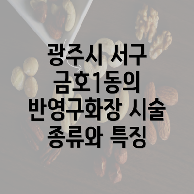 광주시 서구 금호1동의 반영구화장 시술 종류와 특징