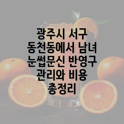 광주시 서구 동천동에서 남녀 눈썹문신 반영구 관리와 비용 총정리