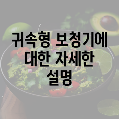 귀속형 보청기에 대한 자세한 설명