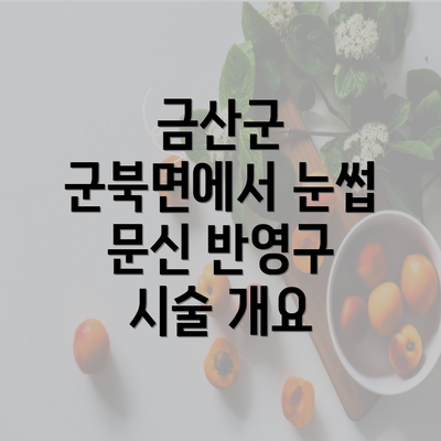 금산군 군북면에서 눈썹 문신 반영구 시술 개요