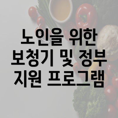 노인을 위한 보청기 및 정부 지원 프로그램