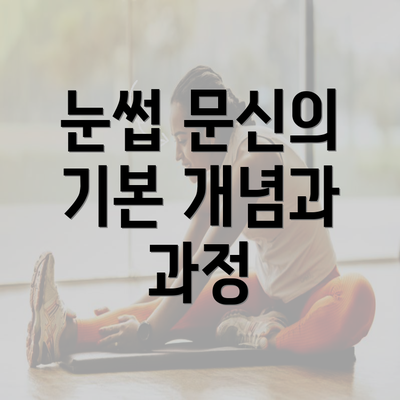 눈썹 문신의 기본 개념과 과정