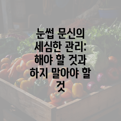 눈썹 문신의 세심한 관리: 해야 할 것과 하지 말아야 할 것