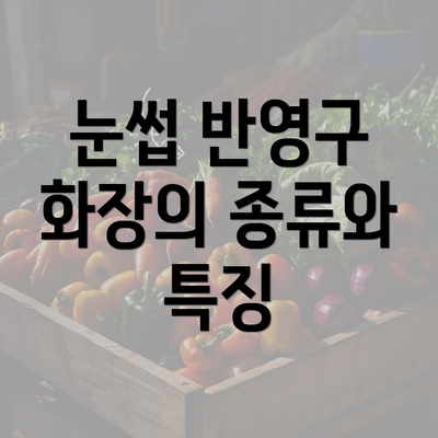 눈썹 반영구 화장의 종류와 특징