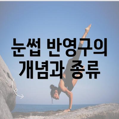 눈썹 반영구의 개념과 종류