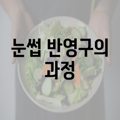 눈썹 반영구의 과정