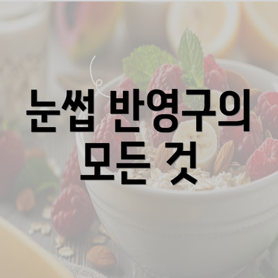 눈썹 반영구의 모든 것