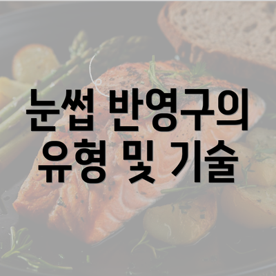 눈썹 반영구의 유형 및 기술