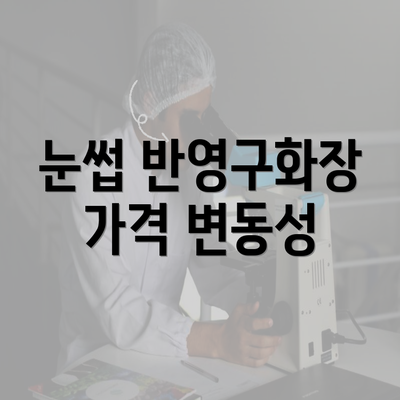 눈썹 반영구화장 가격 변동성