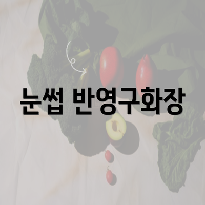 눈썹 반영구화장