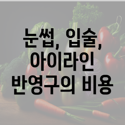 눈썹, 입술, 아이라인 반영구의 비용