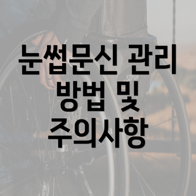 눈썹문신 관리 방법 및 주의사항