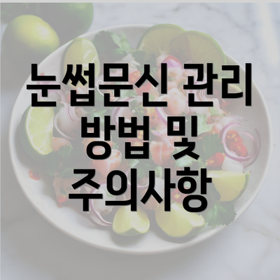 눈썹문신 관리 방법 및 주의사항