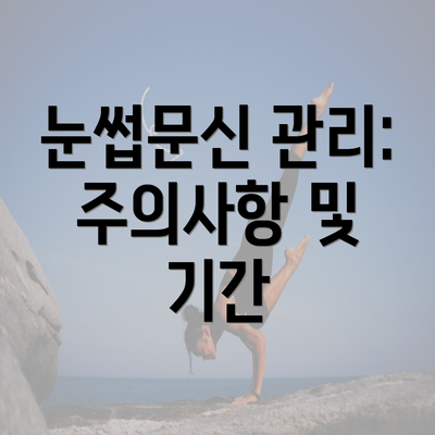 눈썹문신 관리: 주의사항 및 기간