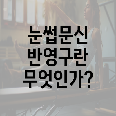 눈썹문신 반영구란 무엇인가?