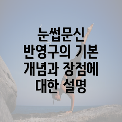 눈썹문신 반영구의 기본 개념과 장점에 대한 설명