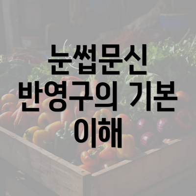 눈썹문신 반영구의 기본 이해