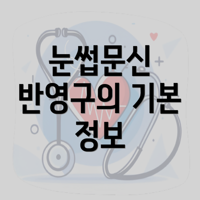 눈썹문신 반영구의 기본 정보