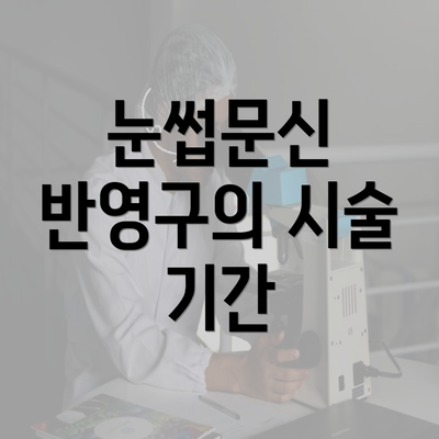 눈썹문신 반영구의 시술 기간